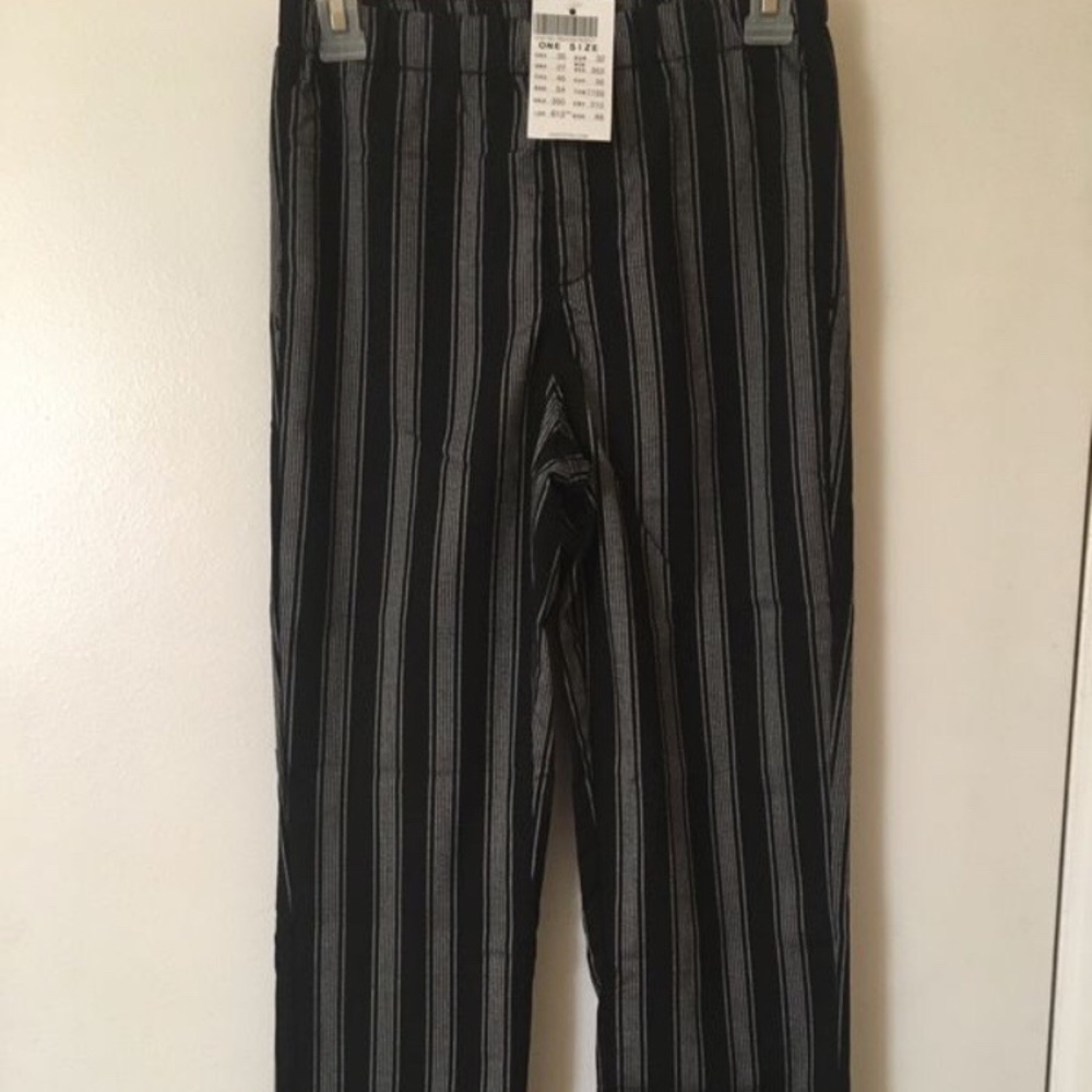 Brandy Melville/John Galt Tilden Pants